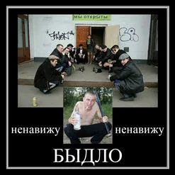 Быдло cover