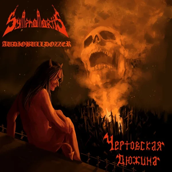 Чертовская дюжина cover