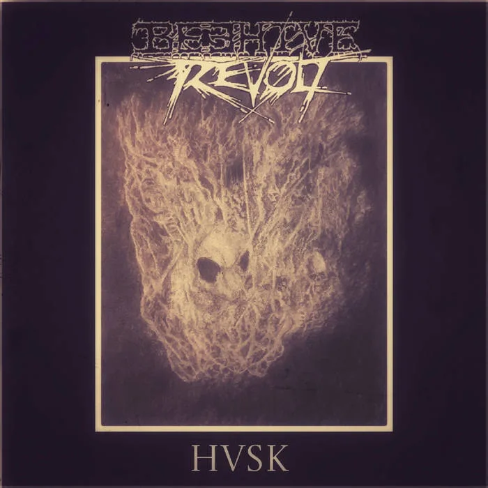HVSK cover