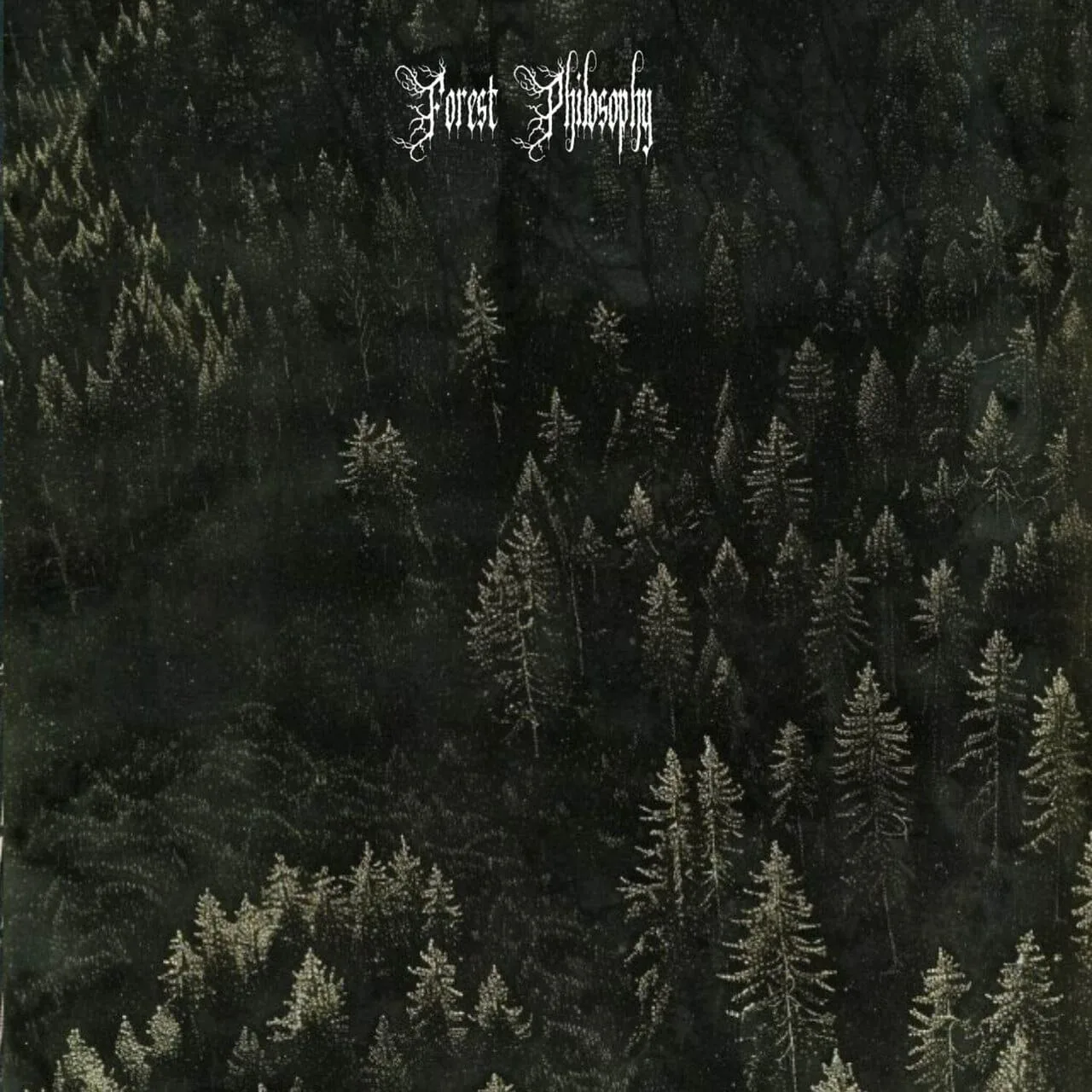 Myths About Trees cover