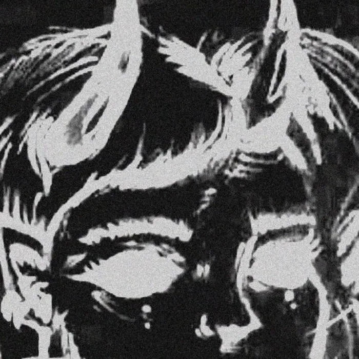 Birdwitch cover