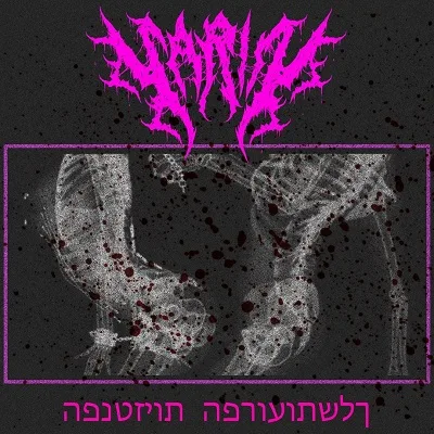 הפנטזיות הפרועותשלך cover