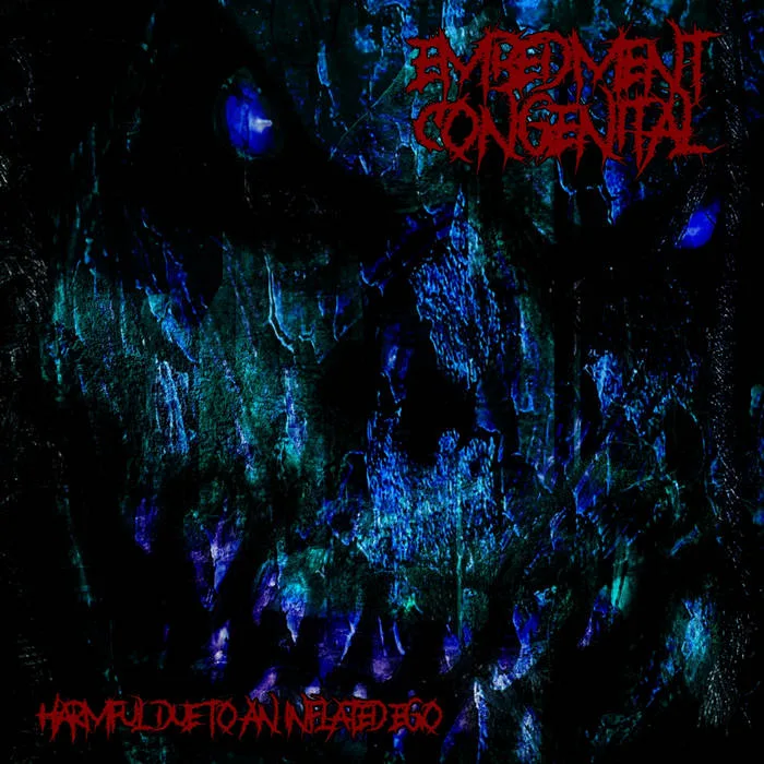 Harmful Due to an Inflated Ego cover