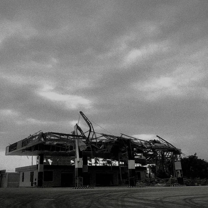 Greyscale Life cover