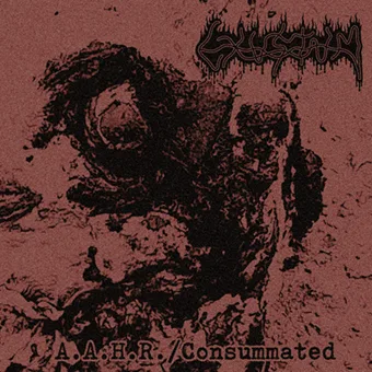 A.A.H.R./Consummated cover
