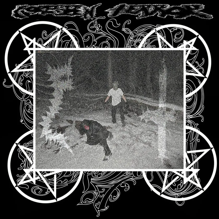 Foreseen Terror cover