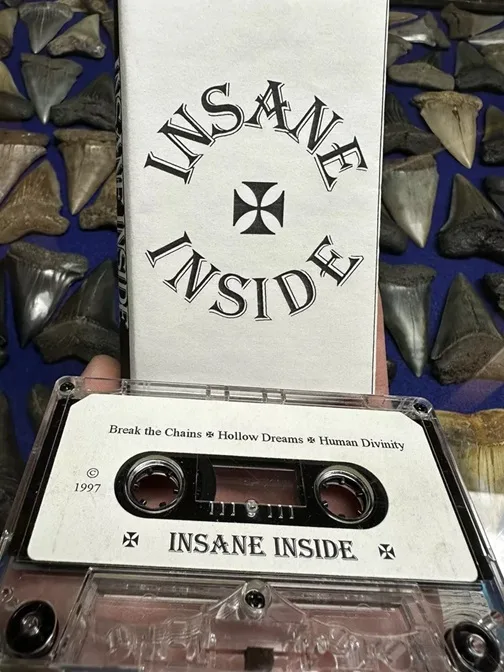 Insane Inside cover