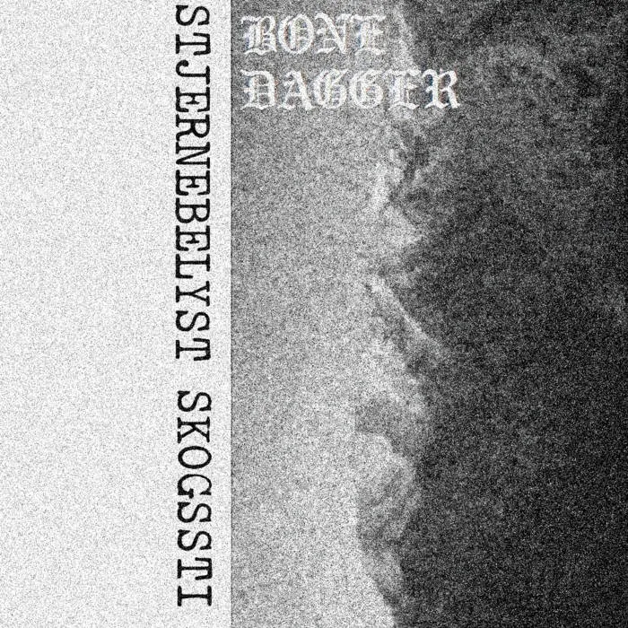 Stjernebelyst Skogssti I cover