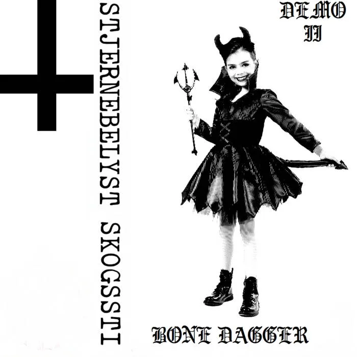 Stjernebelyst Skogssti II cover