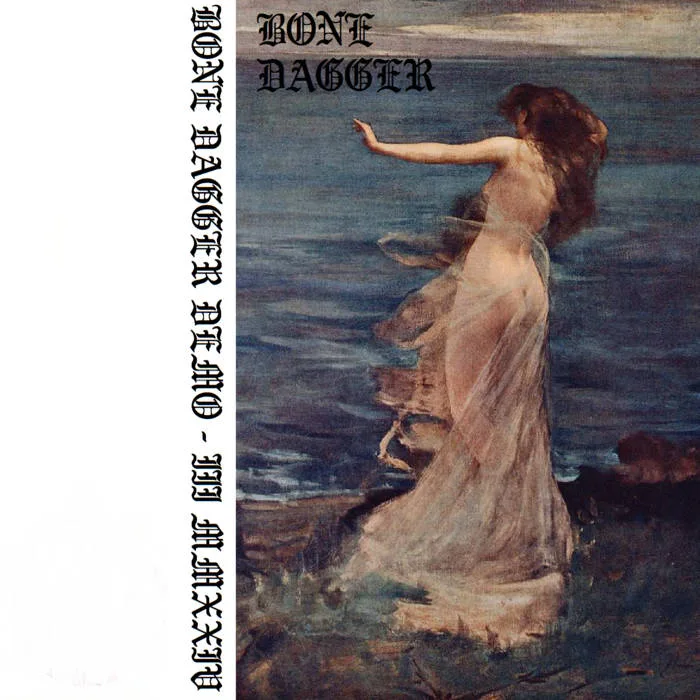 Stjernebelyst Skogssti III cover