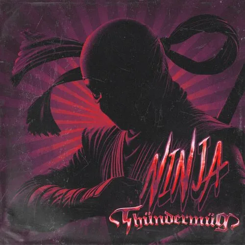 Ninja cover