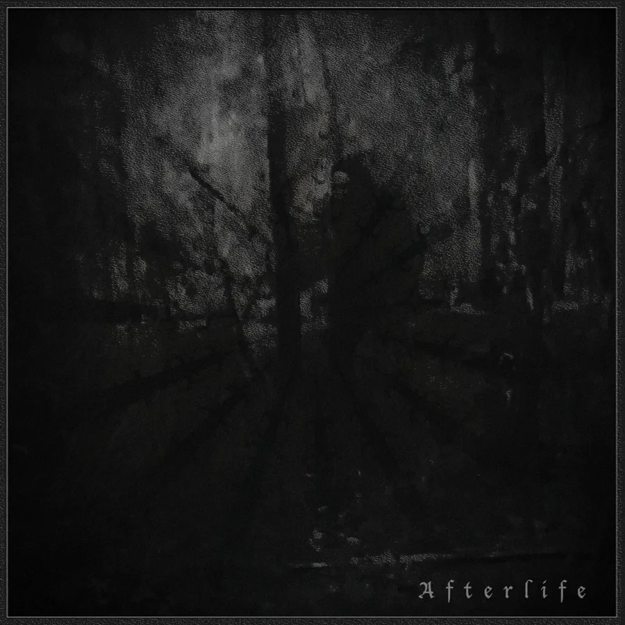 Afterlife cover