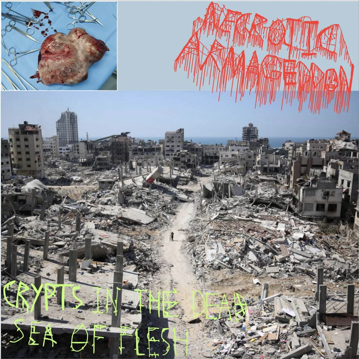 Crypts in the Dead Sea of Flesh cover