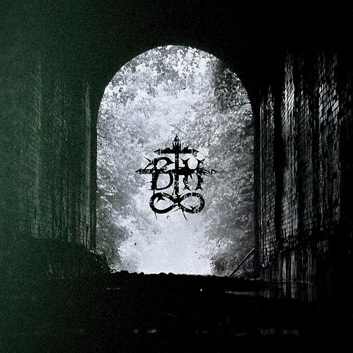 Left to the Void cover