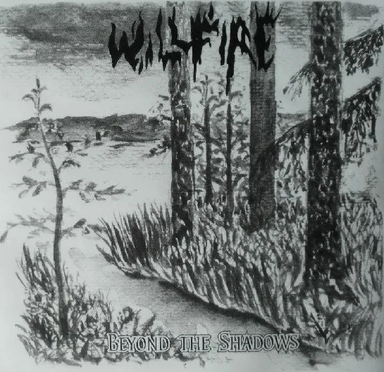 Beyond the Shadows cover