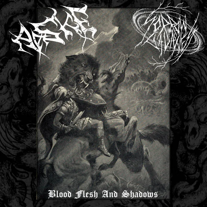 Blood, Flesh and Shadows cover