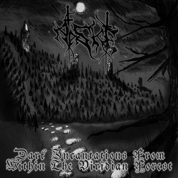 Dark Incantations from Within the Viridian Forest cover