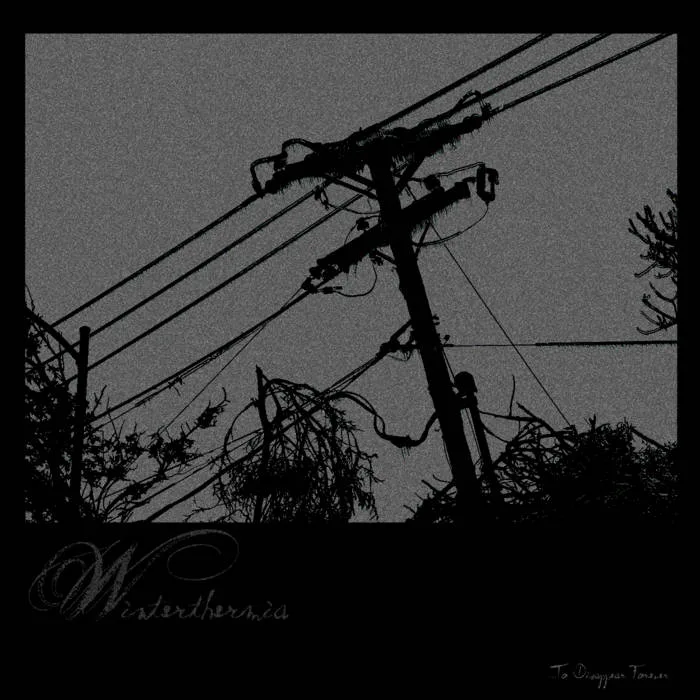 ...to Disappear Forever cover