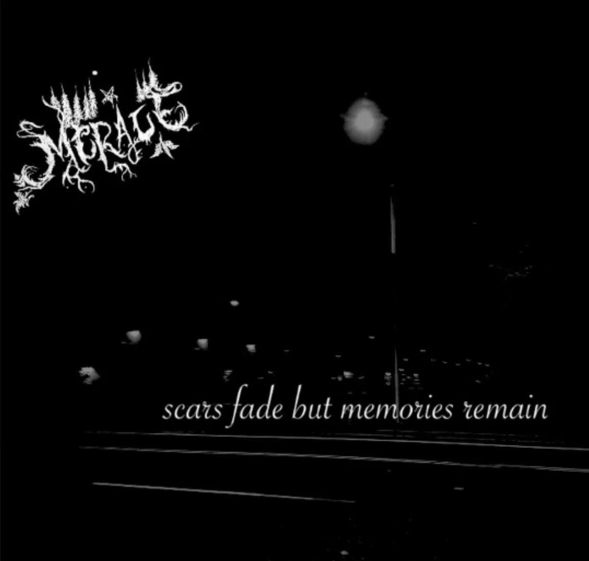 Scars Fade but the Memory Remains cover