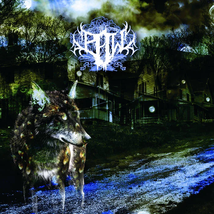 Pillar Amongst Willows cover