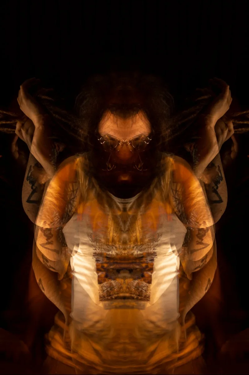 La fleur morte & le soleil aveugle cover