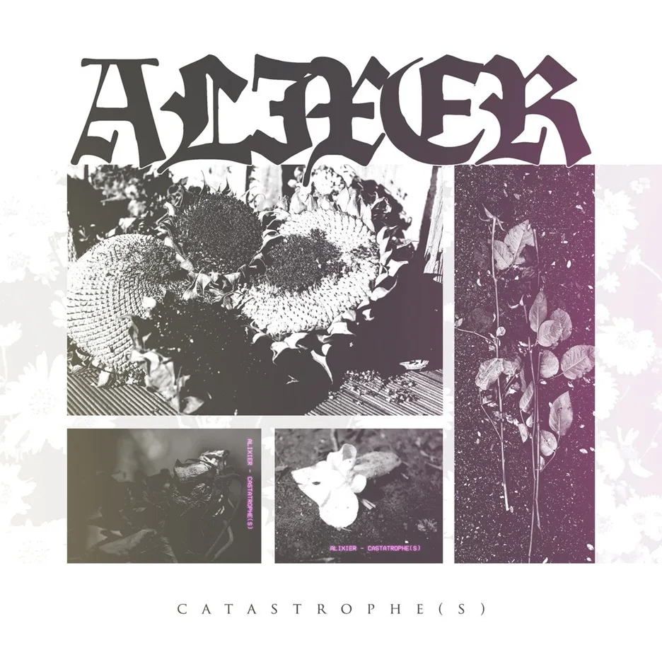 Catastrophe(s) cover