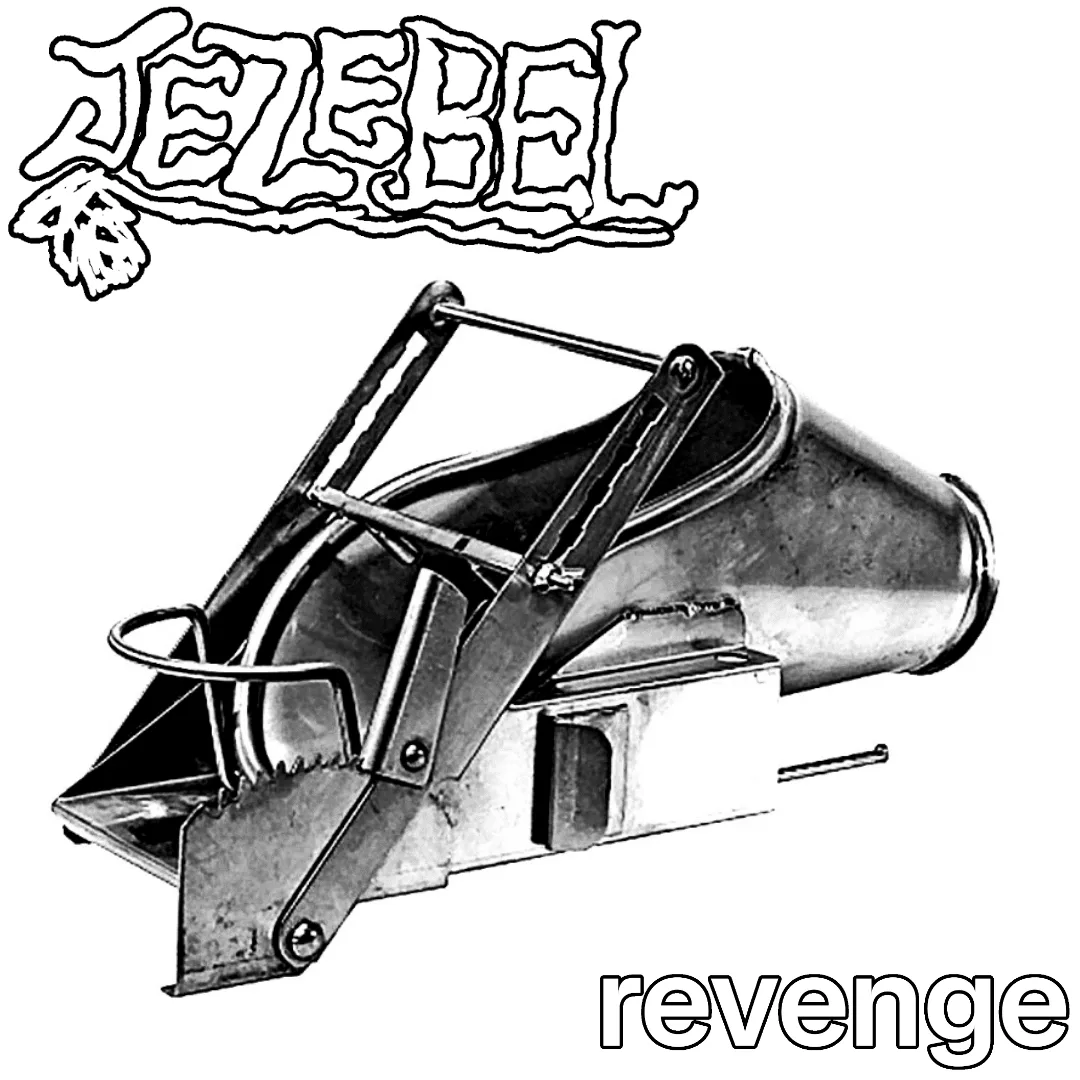Revenge cover