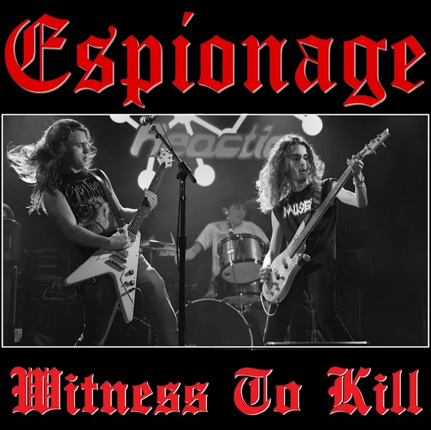 Witness to Kill cover