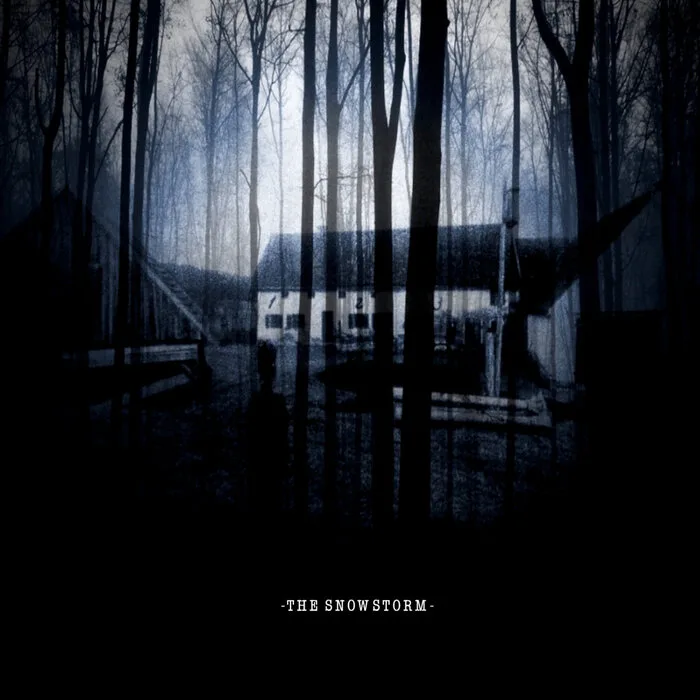 The Snowstorm cover