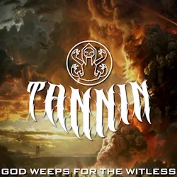 God Weeps for the Witless cover