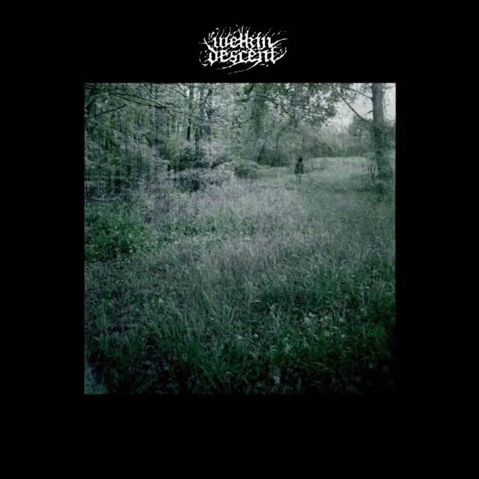 Rapture in the Fields of Gray cover