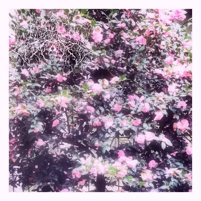 Awakening cover