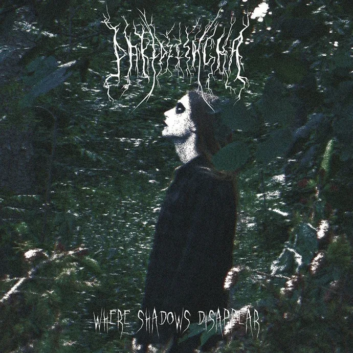 Where Shadows Disappear cover