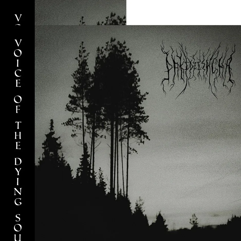 Voice of the Dying Soul II cover