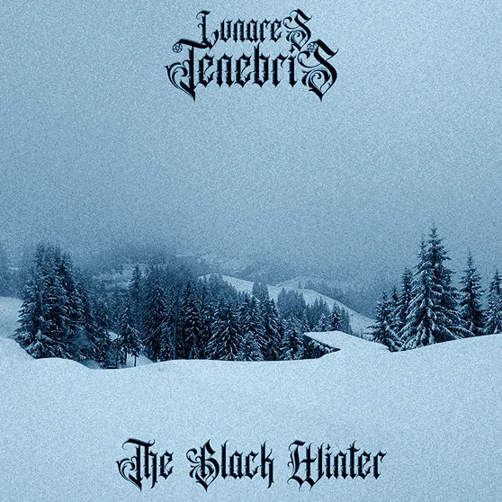 The Black Winter cover