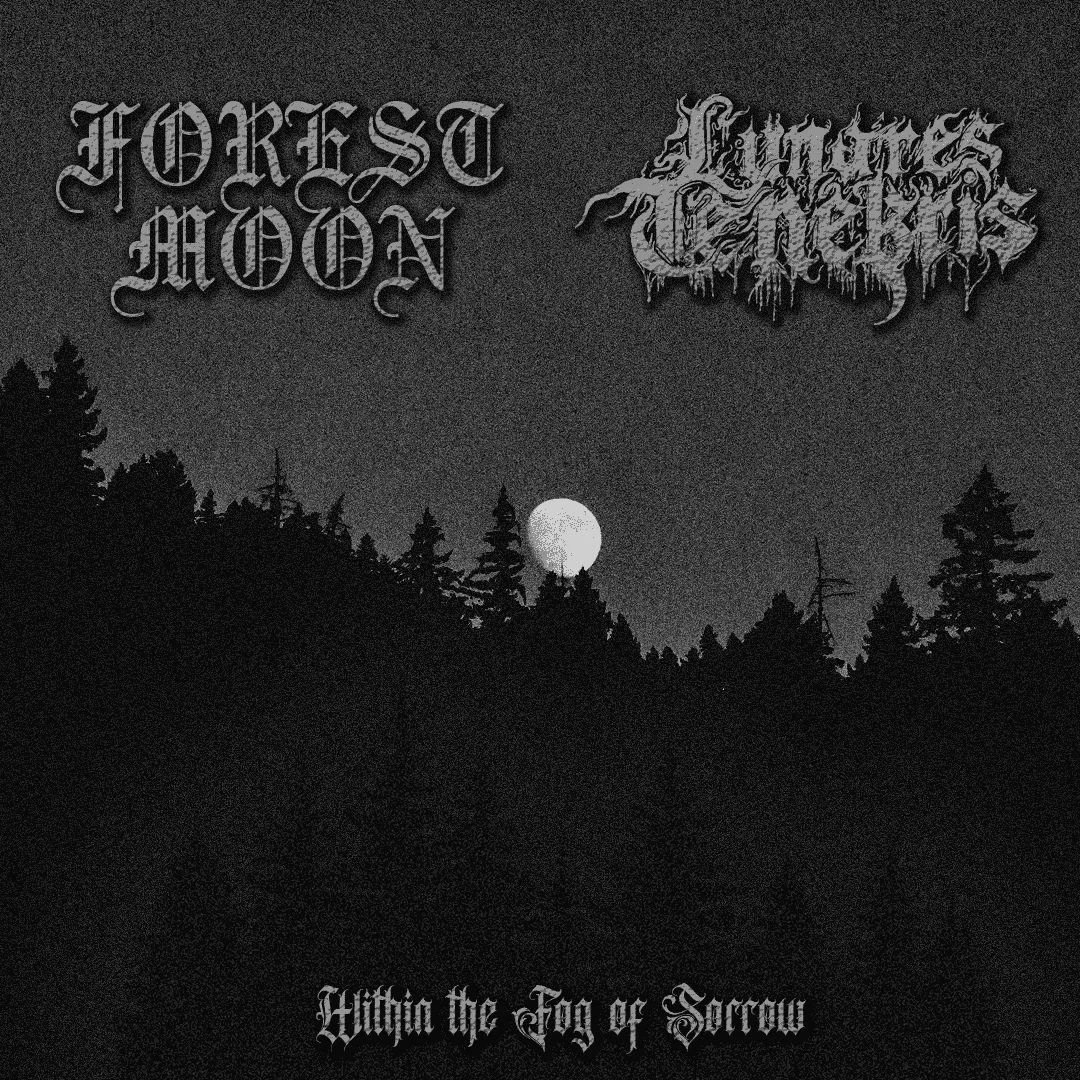 Within the Fog of Sorrow cover