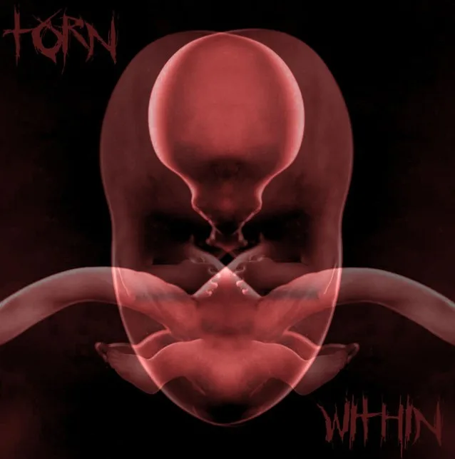 Torn Within cover