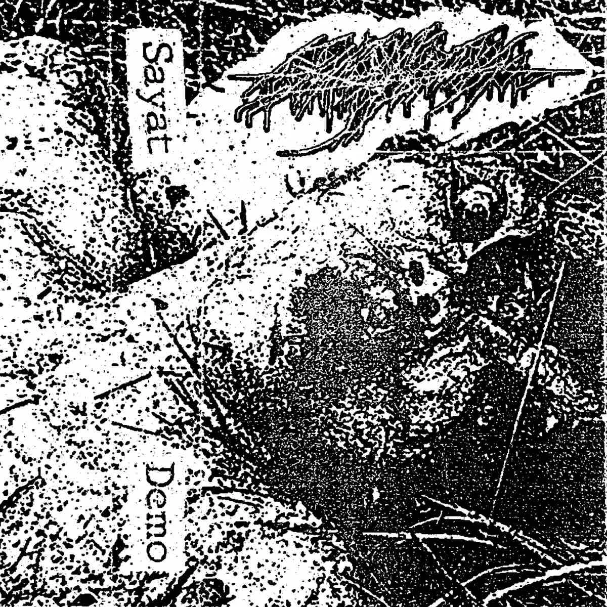 Demo cover
