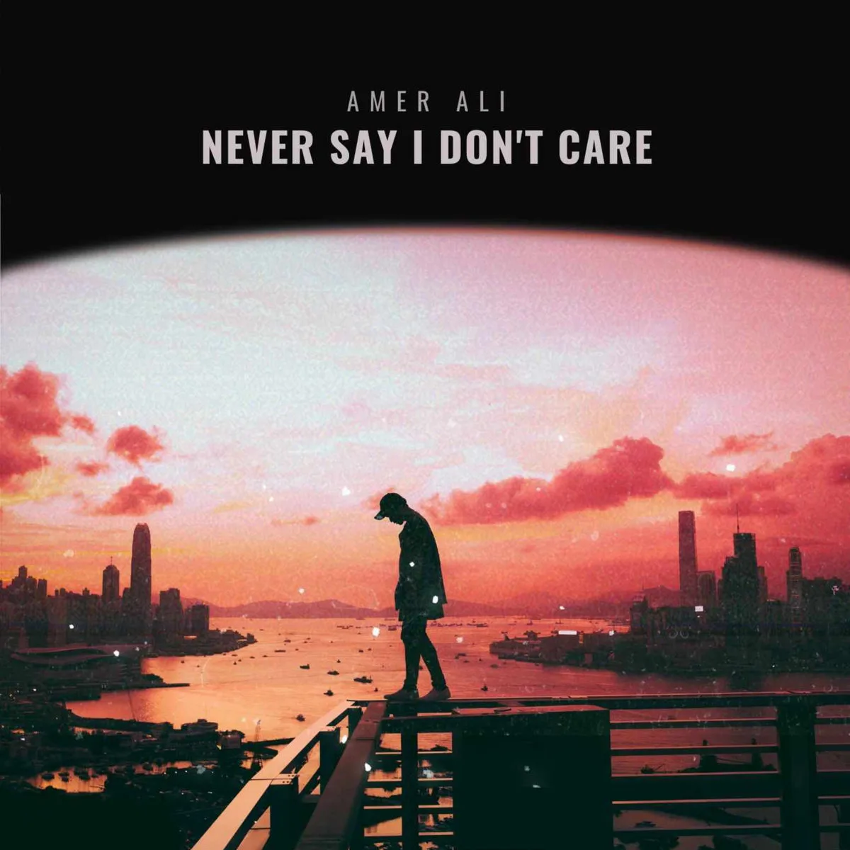 Never Say I Don't Care cover