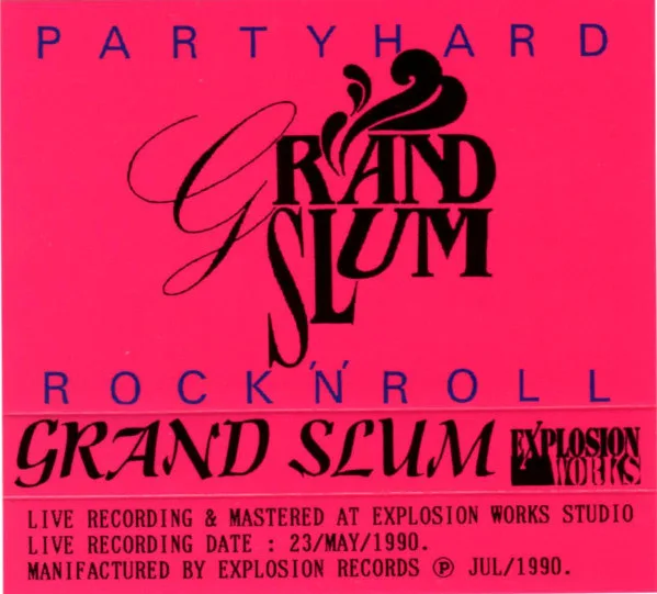 Party Hard Rock 'N' Roll cover