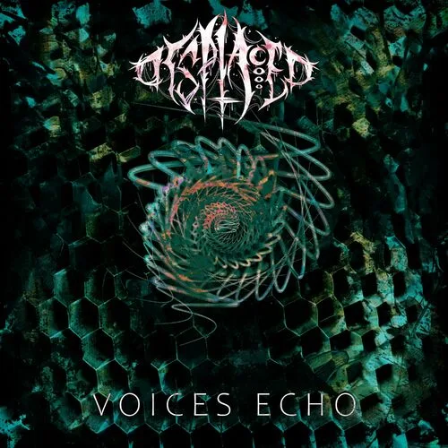 Voices Echo cover