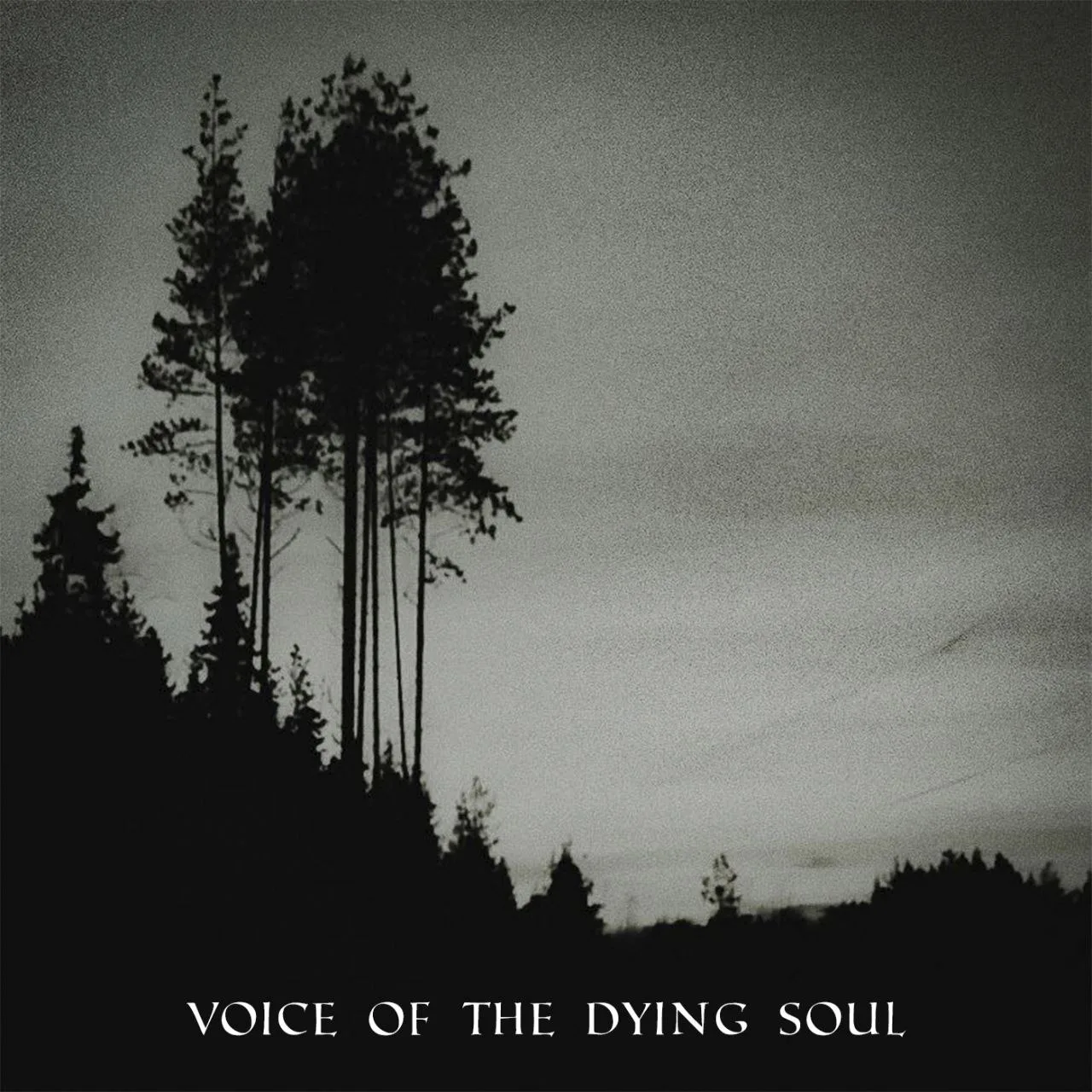 Voice of the Dying Soul I cover