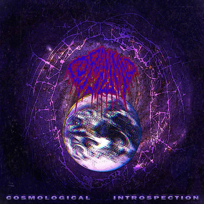 Cosmological Introspection cover