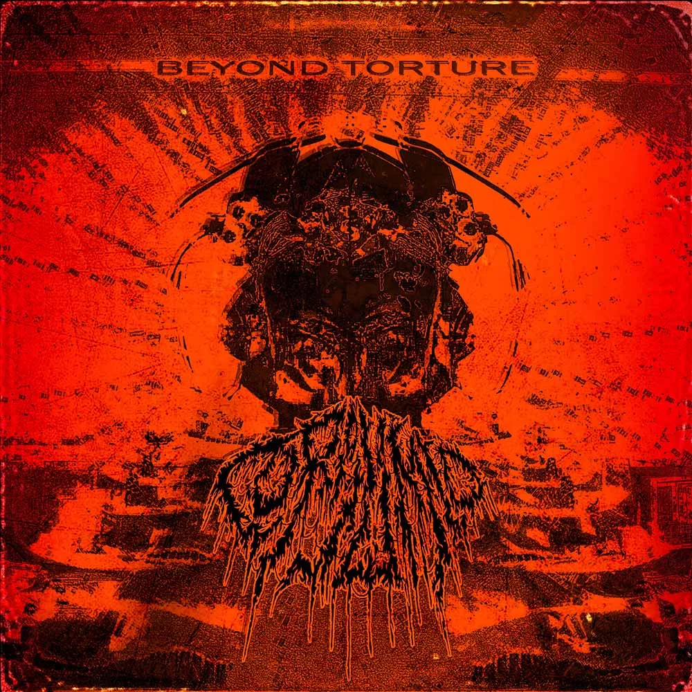 Beyond Torture cover