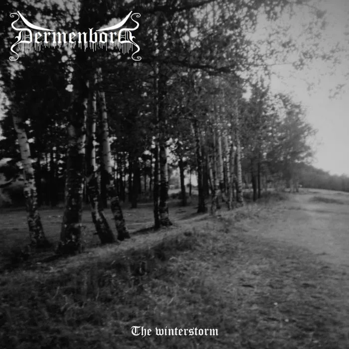 The Winterstorm cover