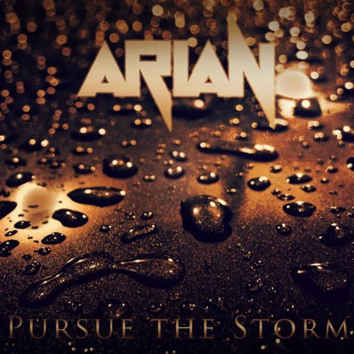 Pursue the Storm cover