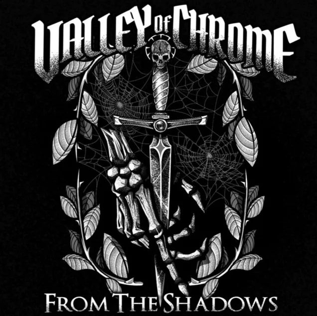 From the Shadows cover