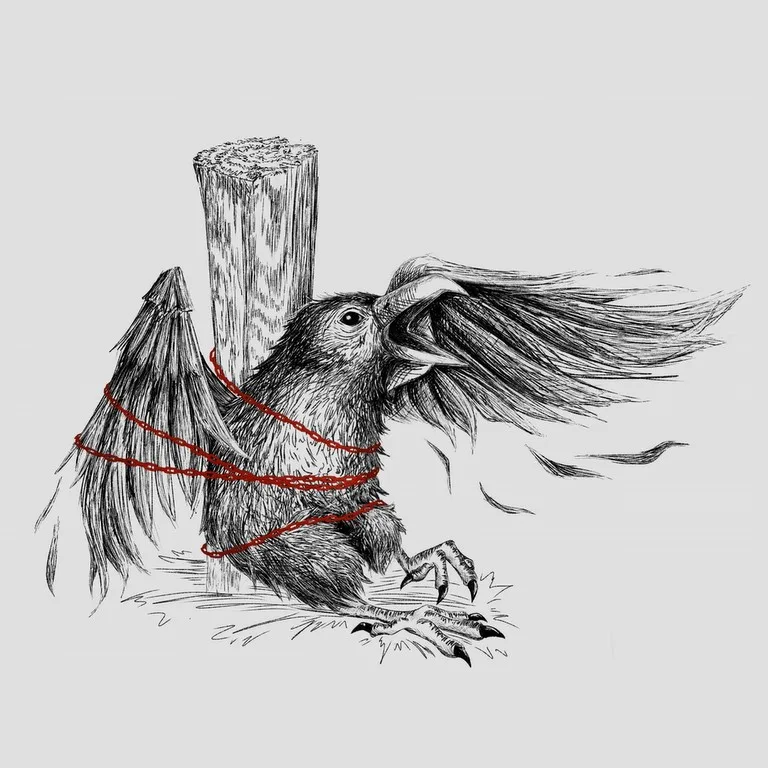 Lost in the Battlefield cover