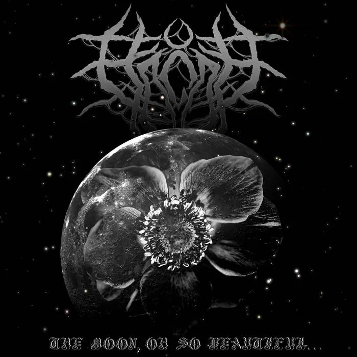 The Moon, Oh So Beautiful​.​.​. cover