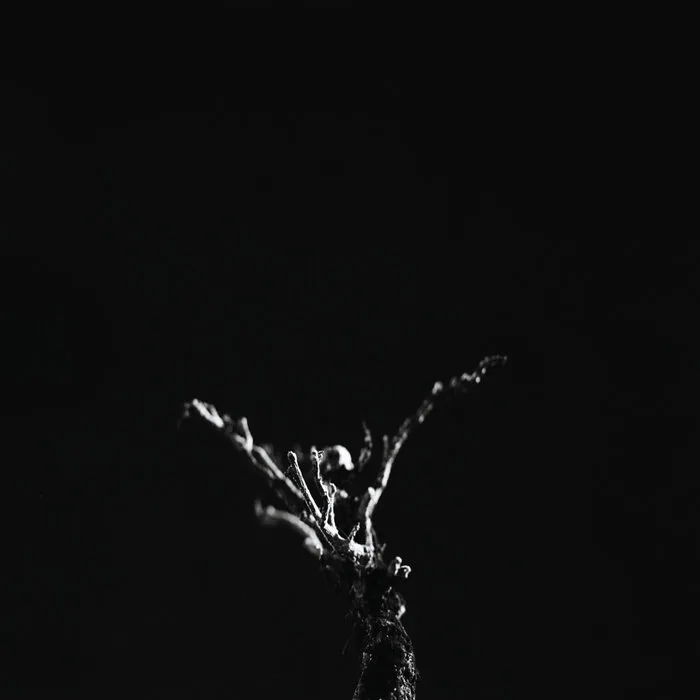 Concept One cover
